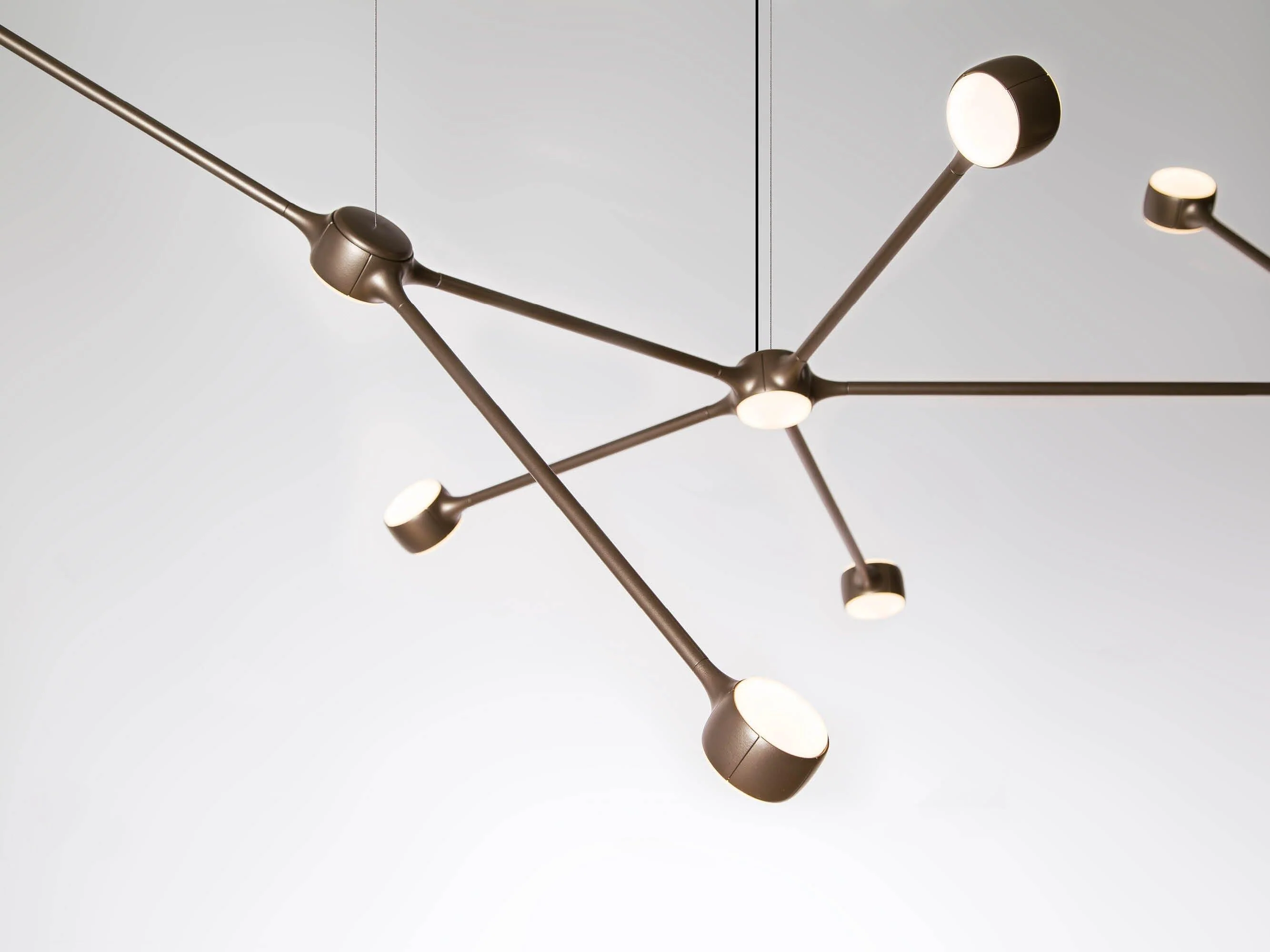 Ramus - Image 3