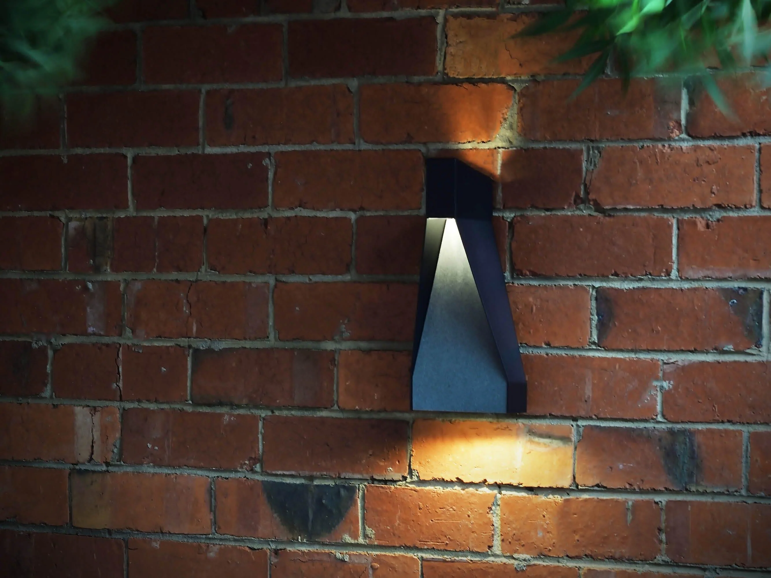 Standley - Image 7